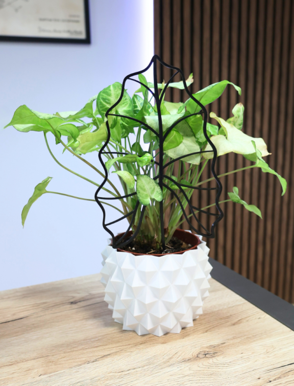 patent na produkt - Podpórka do kwiatów, Drabinka do roślin