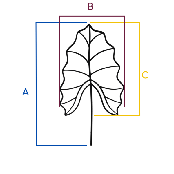 patent na produkt - Podpórka do kwiatów, Drabinka do roślin